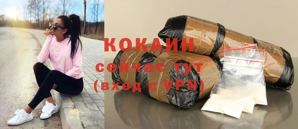 трава Белокуриха