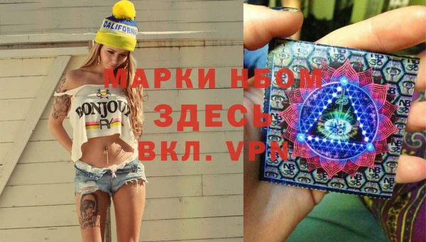 трава Белокуриха