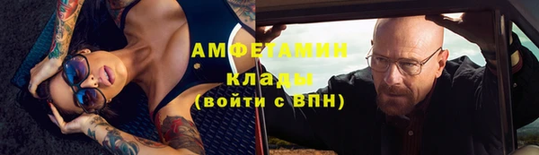 трава Белокуриха