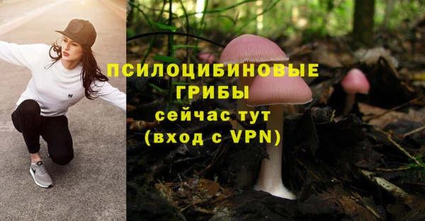 трава Белокуриха