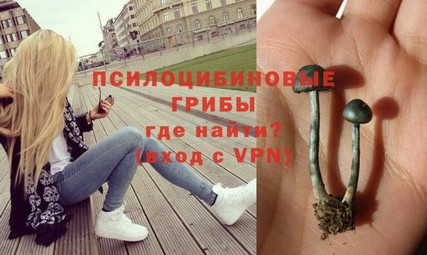 круглые Беломорск