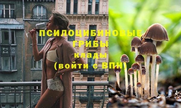 ECSTASY Белоозёрский