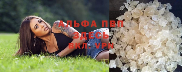 трава Белокуриха