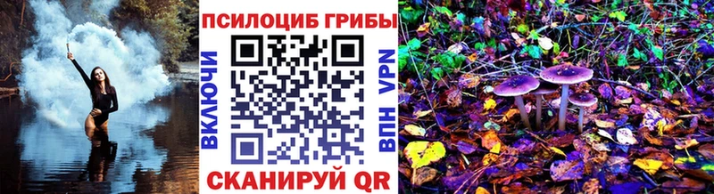 Псилоцибиновые грибы GOLDEN TEACHER  магазин    blacksprut рабочий сайт  Магас 