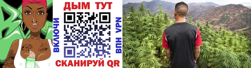 что такое наркотик  Магас  Бошки марихуана SATIVA & INDICA 